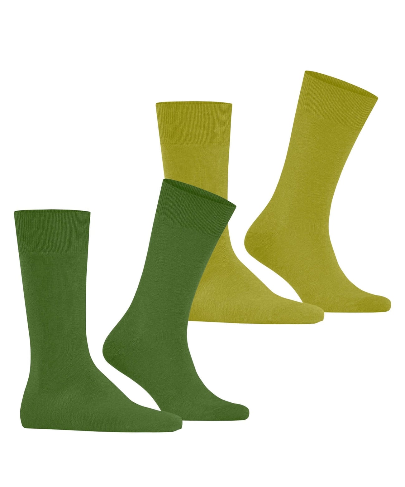 Burlington Everyday 2-Pack herensokken in twee groentinten met herkenbare Burlingtonclip, katoenmix, onesize 40-46, makkelijk wasbaar.