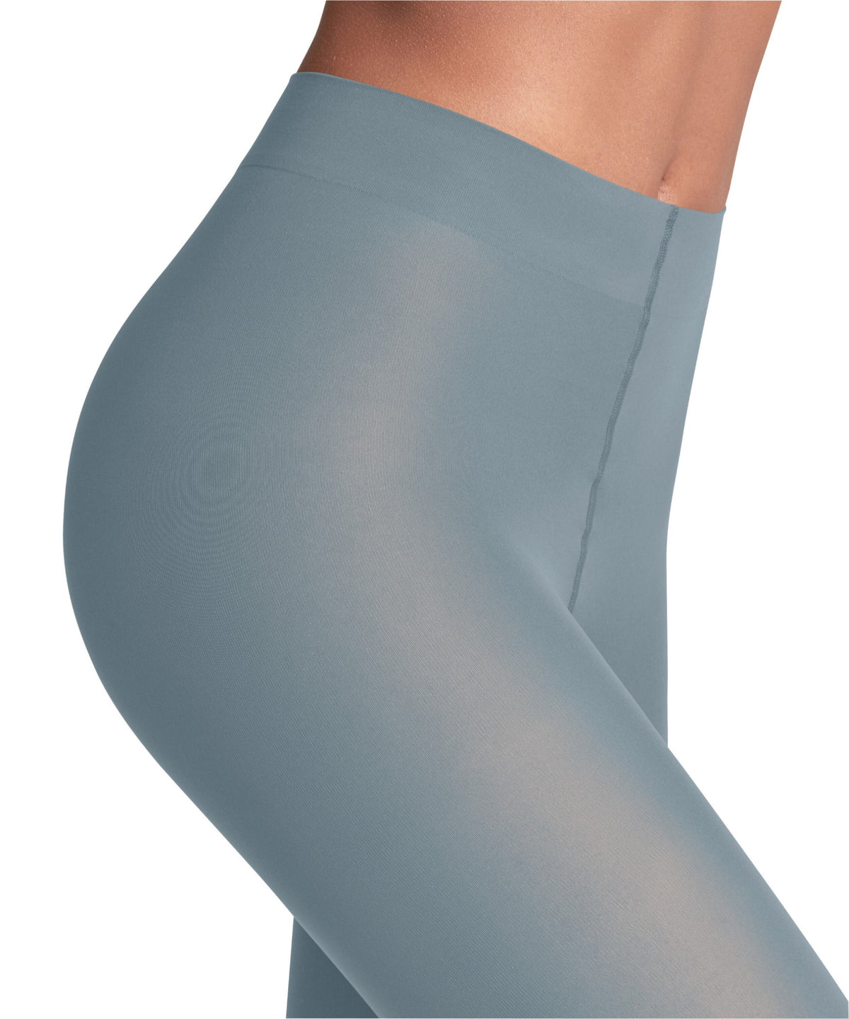 FALKEMattDeluxe30denierPanty406306592monument__4