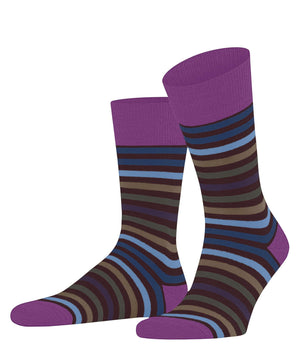 FALKE gestreepte herensokken in purper en blauw, gemaakt van merinowol en katoen, comfortabel en stijlvol.
