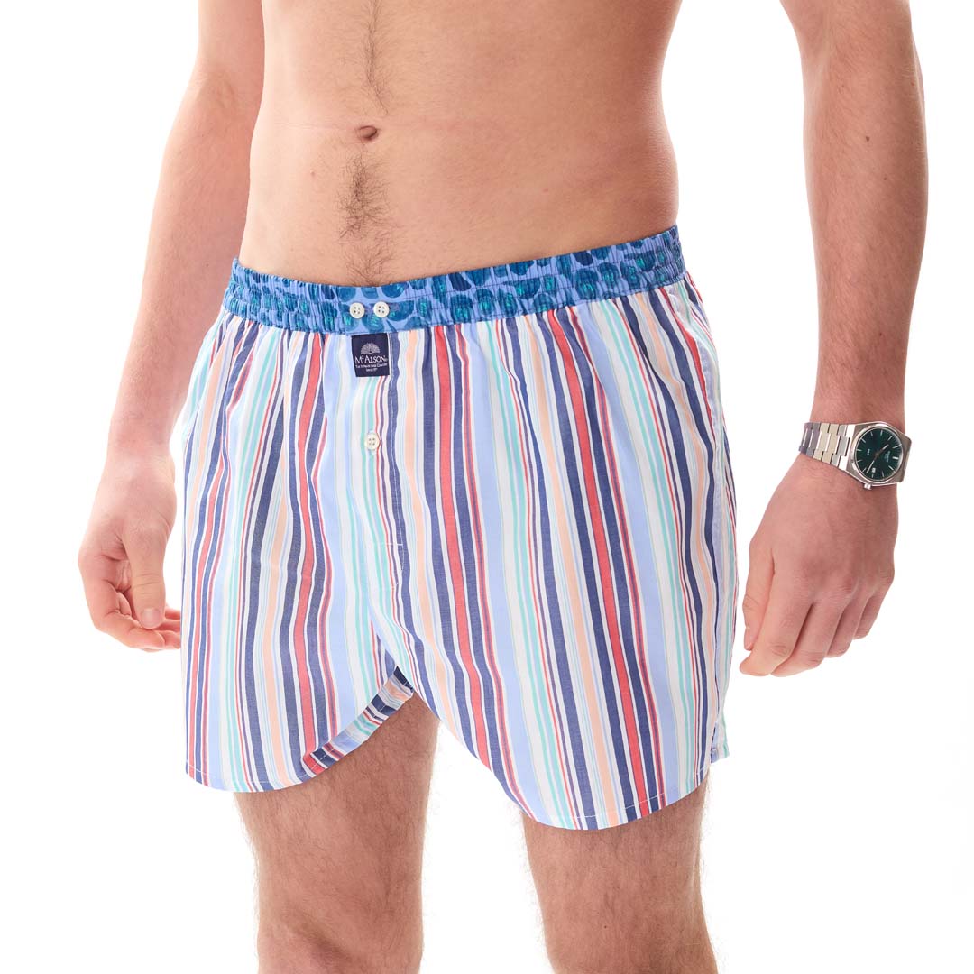 McAlsonBoxershortmetbinnenbroekStripedbluemulticolorM5420blauw__3