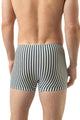 Mey Shorty Palm Stripes Heren 2120219 1254 palm hue zicht van achteren met gestreept patroon.