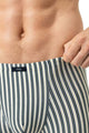 Mey Shorty Palm Stripes Heren 2120219 1254 palm hue close-up van gestreepte boxer met katoenmix en comfortabele tailleboord.
