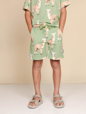 SNURKAlpacaMeadowShortsKids__1