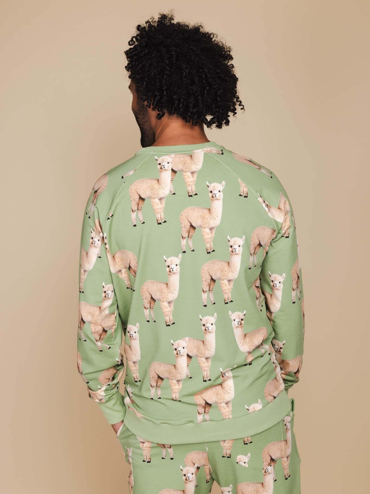 SNURK Alpaca Meadow Sweater Heren met grappige alpacaprint op een groene achtergrond.