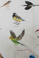 SNURK Bird Watching dekbedovertrek met afbeeldingen van een Grote Tit en Geelkopparkiet.