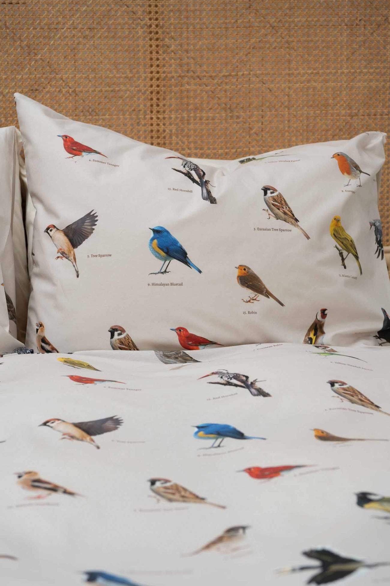 SNURK Bird Watching dekbedovertrek met kleurrijke vogels op dekbed en kussensloop, gemaakt van biologisch katoen.