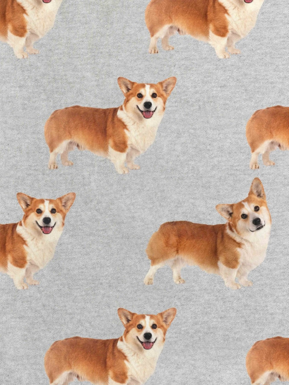 SNURK Corgi Time Broek Kinderen Foto 10560