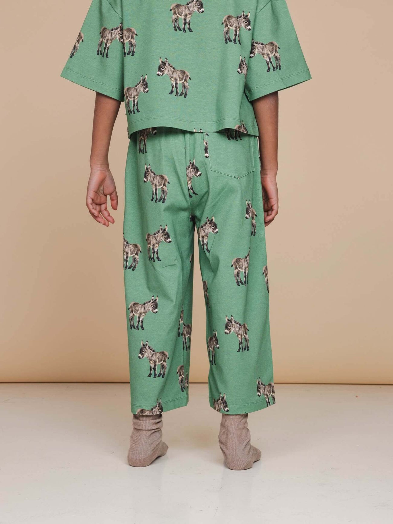 SNURK Donkeys Cropped T-Shirt Kids met schattige baby-ezels op een zachtgroene achtergrond.