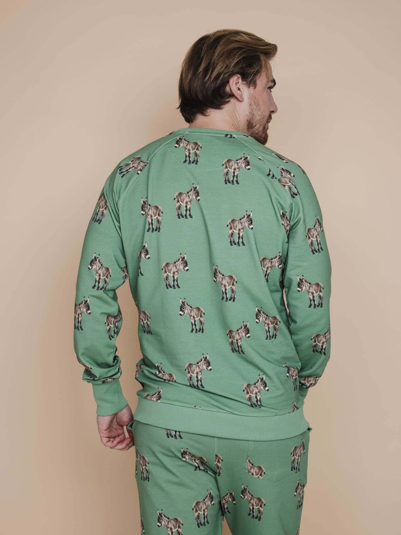 SNURK Donkeys Sweater Heren, achterzijde, met schattige baby-ezels op een zachtgroene achtergrond.