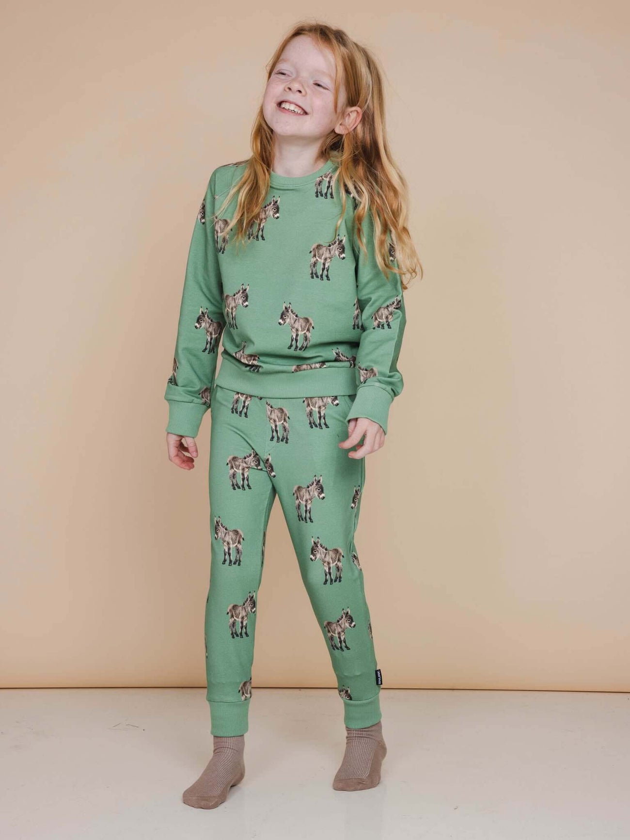 SNURK Donkeys Sweater Kids met schattige baby-ezels op een zachte groene achtergrond, ideaal voor kindermode.