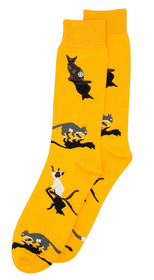 Alfredo Gonzales Cats AG-SK-Cat-01 119 Mustard/Grey/Off White Foto 25260